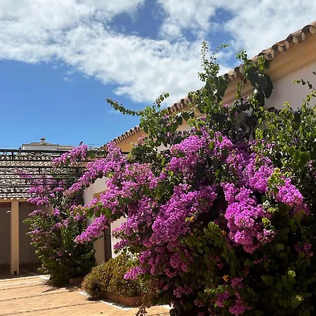 Stunning 2 Bed Penthouse With Large Sun Terrace And Pool Views *
